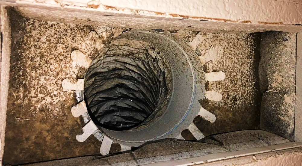 air ducts mold